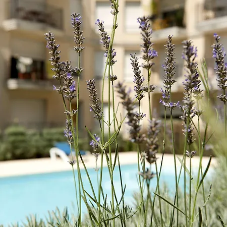 Adagio Access Rodesse