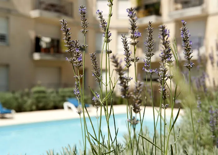 Adagio Access Rodesse